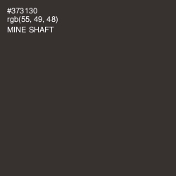 #373130 - Mine Shaft Color Image